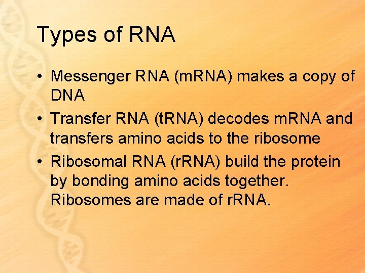 Types of RNA • Messenger RNA (m. RNA) makes a copy of DNA •