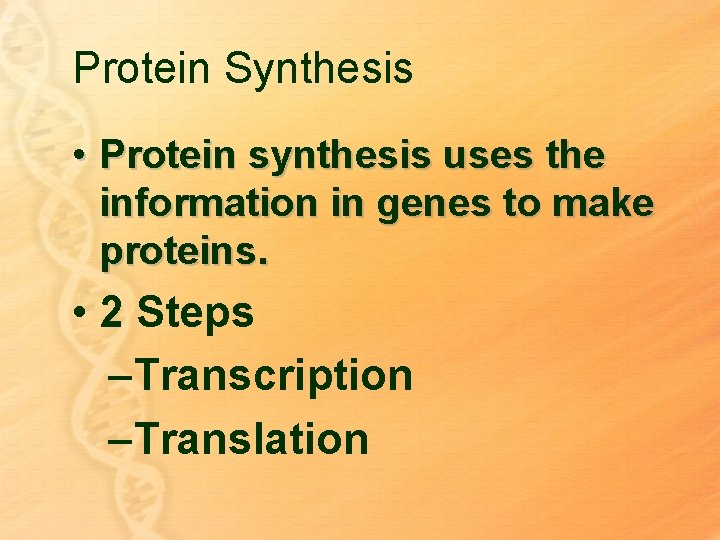 Protein Synthesis • Protein synthesis uses the information in genes to make proteins. •