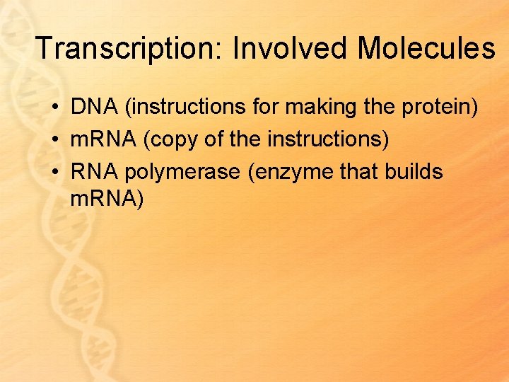 Transcription: Involved Molecules • DNA (instructions for making the protein) • m. RNA (copy