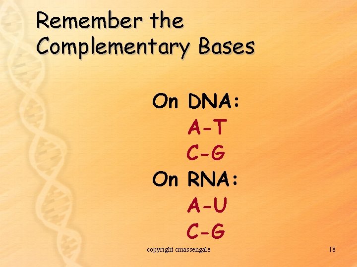 Remember the Complementary Bases On DNA: A-T C-G On RNA: A-U C-G copyright cmassengale