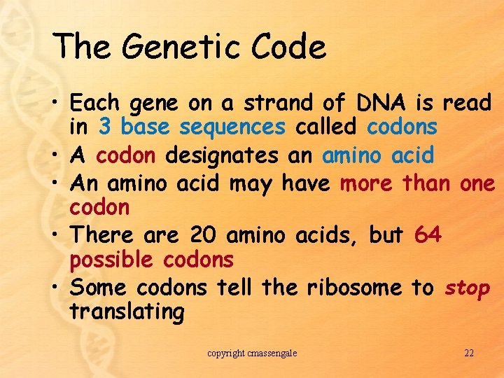 The Genetic Code • Each gene on a strand of DNA is read in
