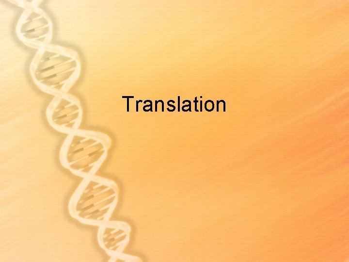 Translation 