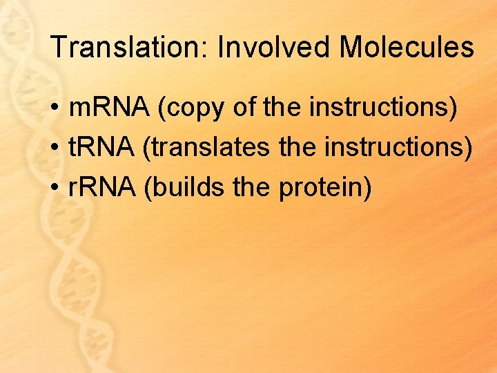 Translation: Involved Molecules • m. RNA (copy of the instructions) • t. RNA (translates