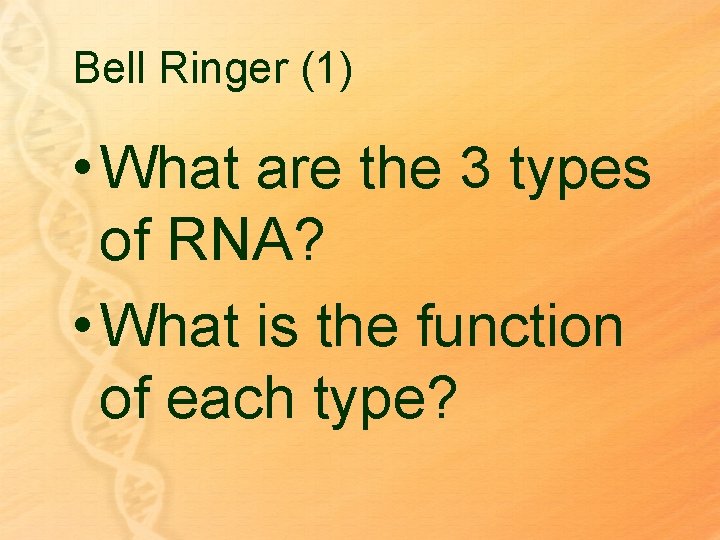 Bell Ringer (1) • What are the 3 types of RNA? • What is