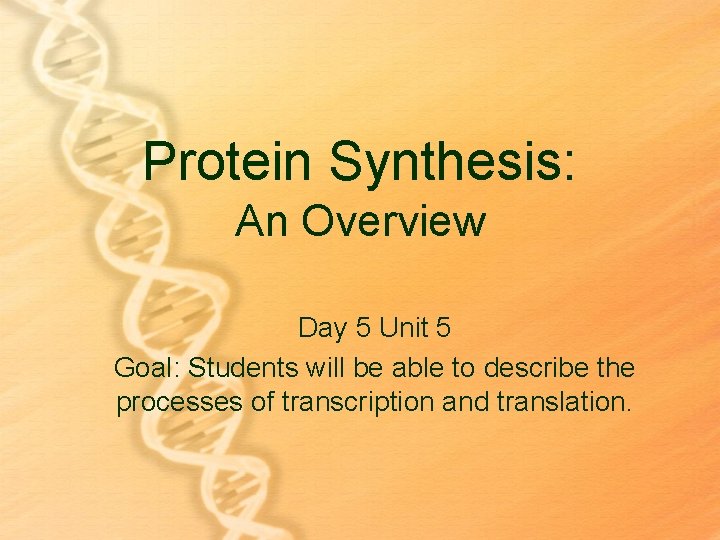 Protein Synthesis: An Overview Day 5 Unit 5 Goal: Students will be able to