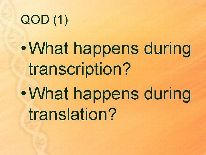 QOD (1) • What happens during transcription? • What happens during translation? 
