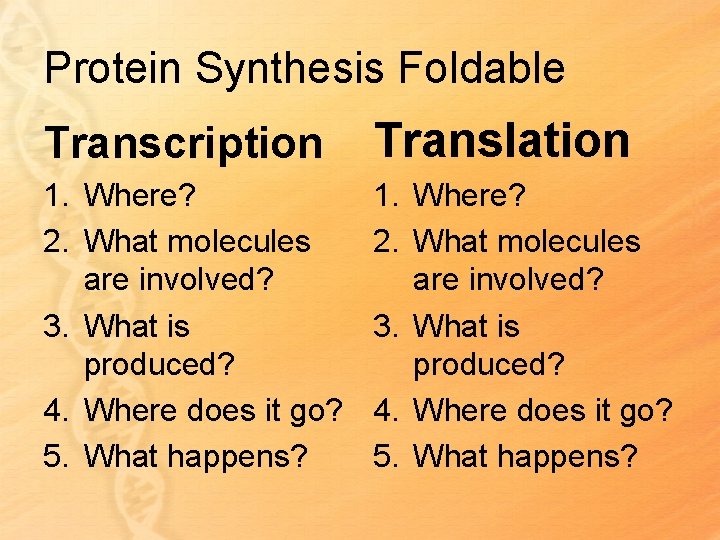 Protein Synthesis Foldable Transcription Translation 1. Where? 2. What molecules are involved? 3. What