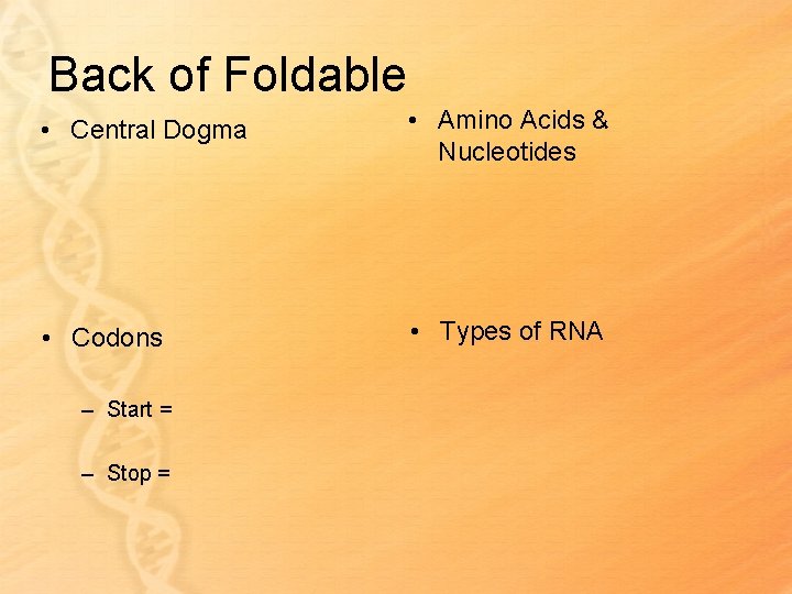 Back of Foldable • Central Dogma • Amino Acids & Nucleotides • Codons •