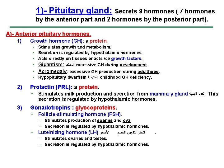 1)- Pituitary gland: Secrets 9 hormones ( 7 hormones by the anterior part and