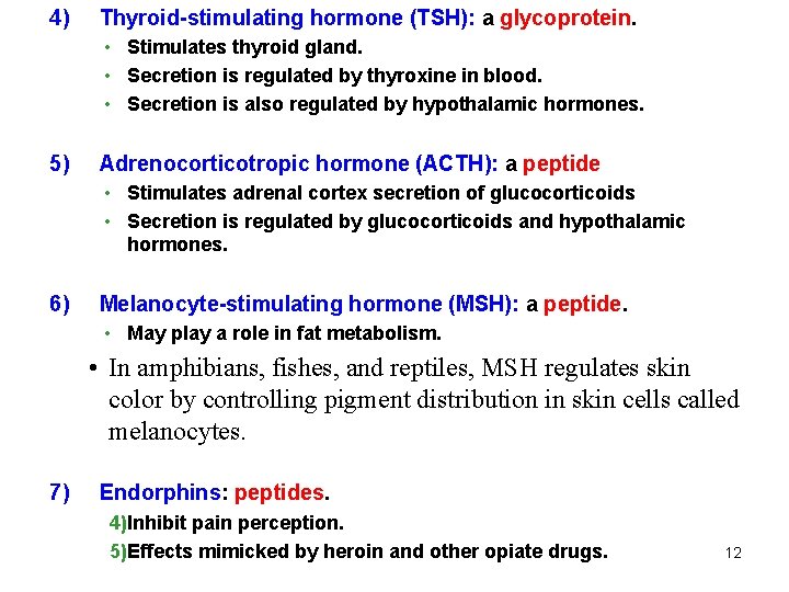 4) Thyroid-stimulating hormone (TSH): a glycoprotein. • Stimulates thyroid gland. • Secretion is regulated