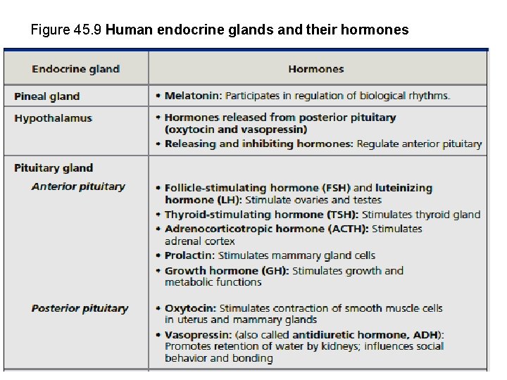 Figure 45. 9 Human endocrine glands and their hormones 