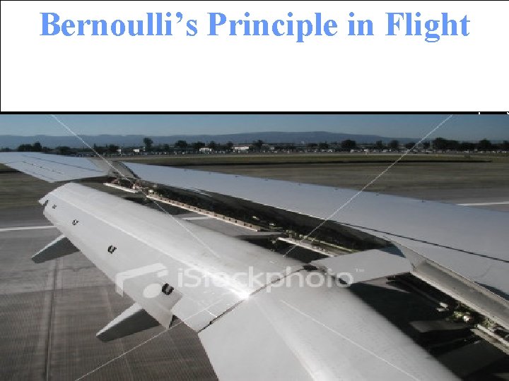 Bernoulli’s Principle in Flight 