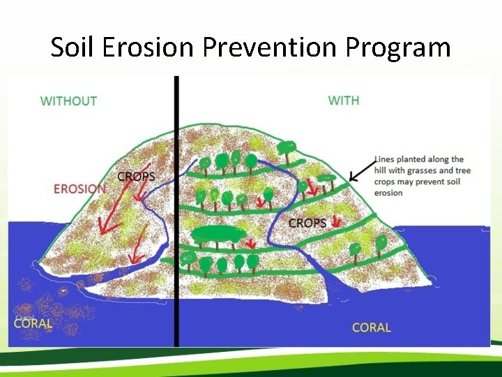 Soil Erosion Prevention Program 