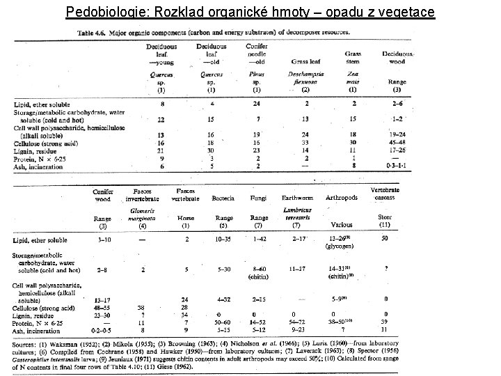 Pedobiologie: Rozklad organické hmoty – opadu z vegetace 