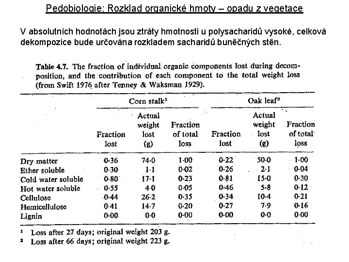 Pedobiologie: Rozklad organické hmoty – opadu z vegetace V absolutních hodnotách jsou ztráty hmotnosti