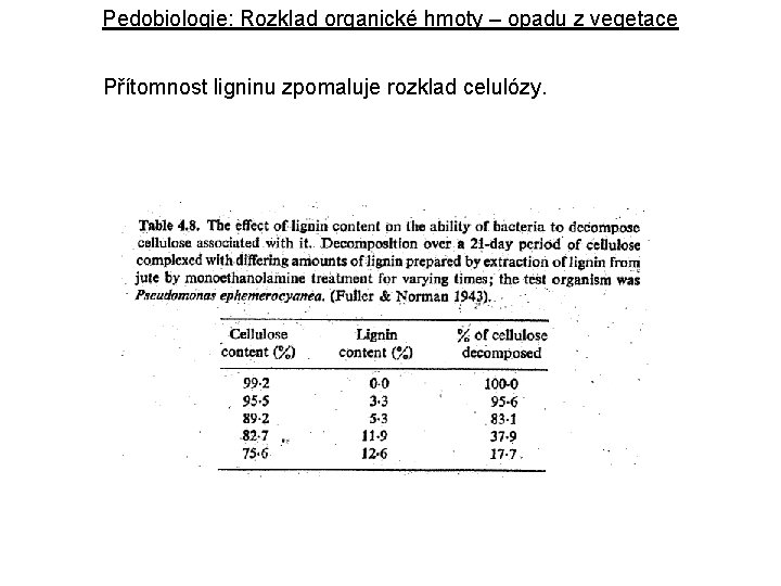 Pedobiologie: Rozklad organické hmoty – opadu z vegetace Přítomnost ligninu zpomaluje rozklad celulózy. 