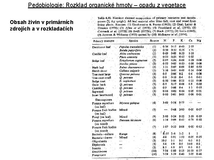 Pedobiologie: Rozklad organické hmoty – opadu z vegetace Obsah živin v primárních zdrojích a