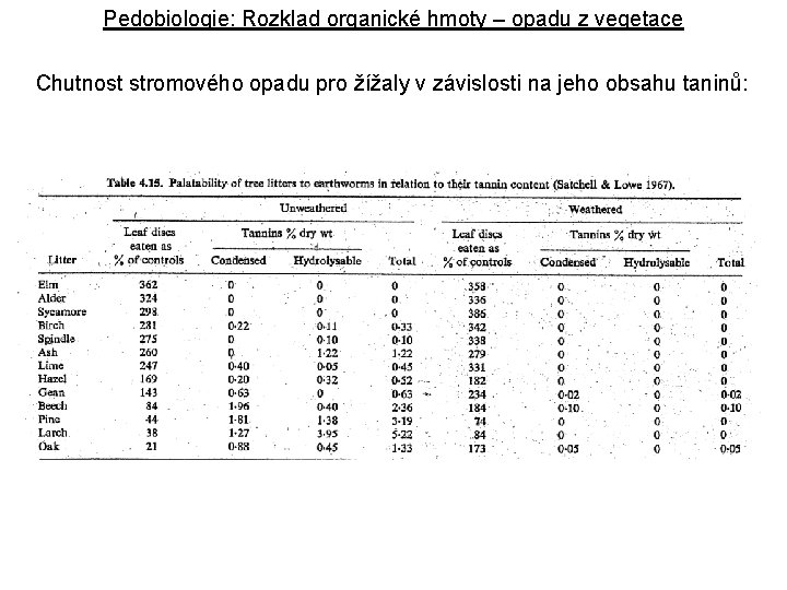 Pedobiologie: Rozklad organické hmoty – opadu z vegetace Chutnost stromového opadu pro žížaly v