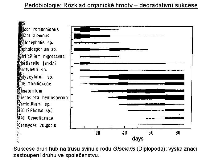 Pedobiologie: Rozklad organické hmoty – degradativní sukcese days Sukcese druh hub na trusu svinule