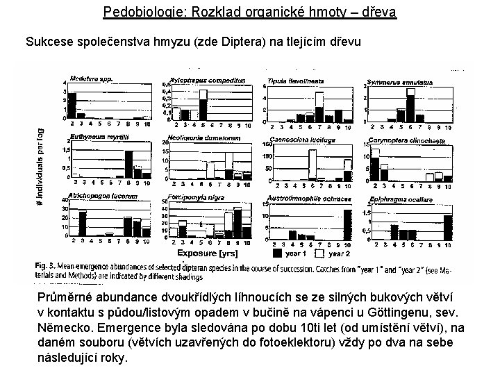 Pedobiologie: Rozklad organické hmoty – dřeva Sukcese společenstva hmyzu (zde Diptera) na tlejícím dřevu