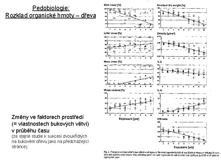 Pedobiologie: Rozklad organické hmoty – dřeva Změny ve faktorech prostředí (= vlastnostech bukových větví)