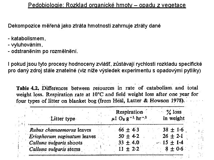 Pedobiologie: Rozklad organické hmoty – opadu z vegetace Dekompozice měřená jako ztráta hmotnosti zahrnuje