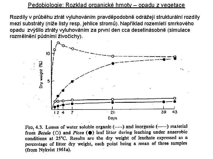 Pedobiologie: Rozklad organické hmoty – opadu z vegetace Rozdíly v průběhu ztrát vyluhováním pravděpodobně