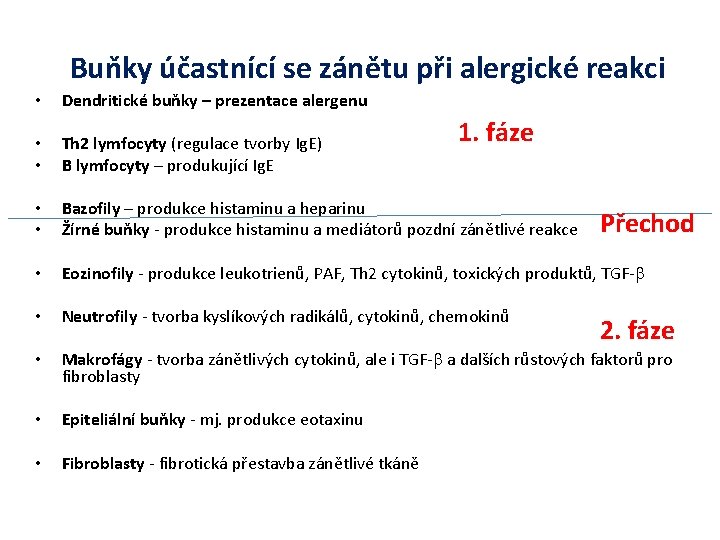 Buňky účastnící se zánětu při alergické reakci • Dendritické buňky – prezentace alergenu •