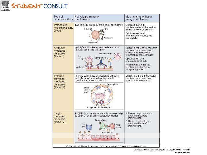 Downloaded from: Student. Consult (on 18 July 2006 11: 40 AM) © 2005 Elsevier