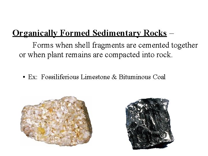 Organically Formed Sedimentary Rocks – Forms when shell fragments are cemented together or when Organically Formed Sedimentary Rocks – Forms when shell fragments are cemented together or when