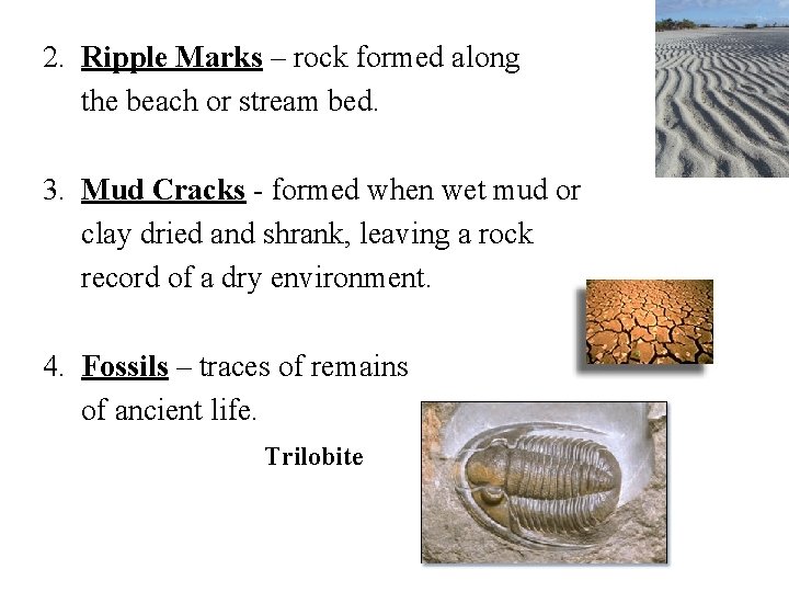 2. Ripple Marks – rock formed along the beach or stream bed. 3. Mud 2. Ripple Marks – rock formed along the beach or stream bed. 3. Mud