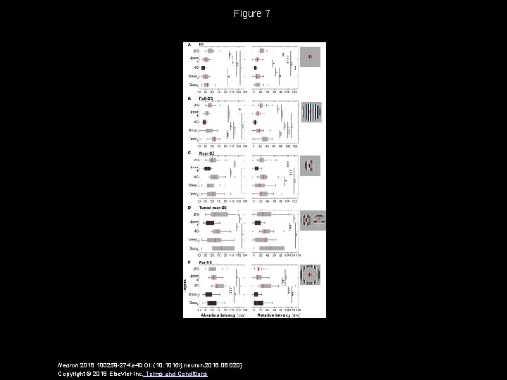 Figure 7 Neuron 2018 100259 -274. e 4 DOI: (10. 1016/j. neuron. 2018. 020)