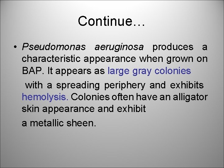 Continue… • Pseudomonas aeruginosa produces a characteristic appearance when grown on BAP. It appears