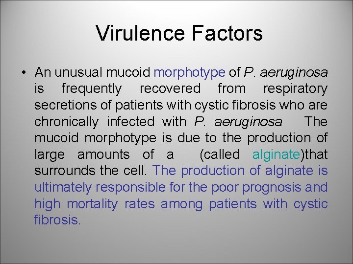  Virulence Factors • An unusual mucoid morphotype of P. aeruginosa is frequently recovered