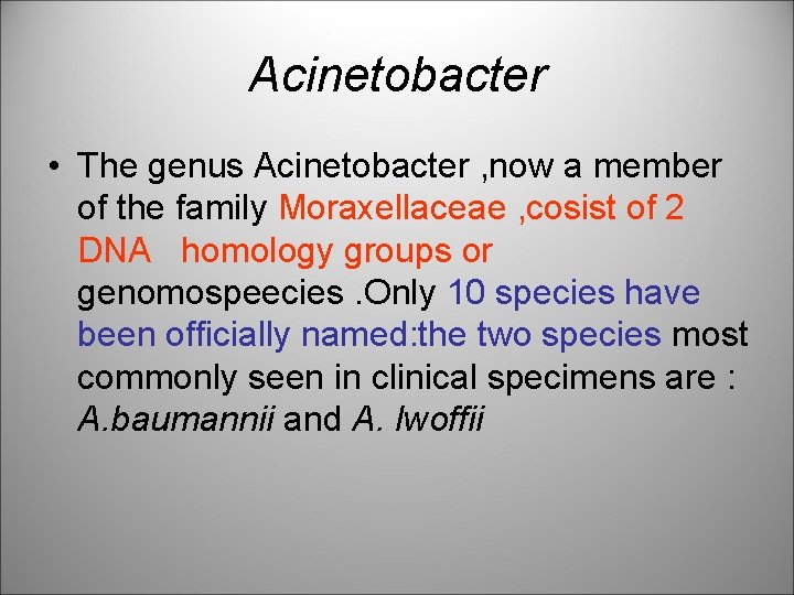 Acinetobacter • The genus Acinetobacter , now a member of the family Moraxellaceae ,