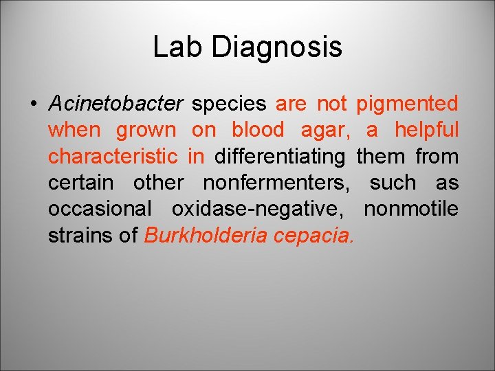 Lab Diagnosis • Acinetobacter species are not pigmented when grown on blood agar, a