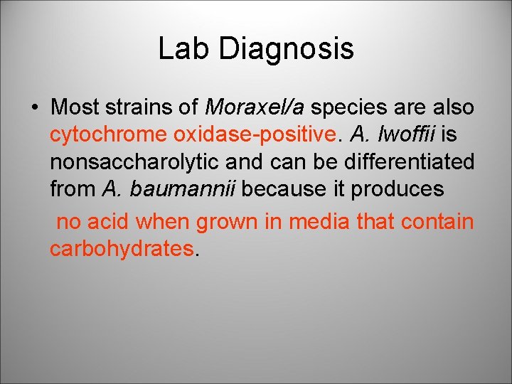Lab Diagnosis • Most strains of Moraxel/a species are also cytochrome oxidase-positive. A. lwoffii