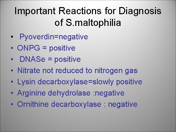 Important Reactions for Diagnosis of S. maltophilia • • Pyoverdin=negative ONPG = positive DNASe