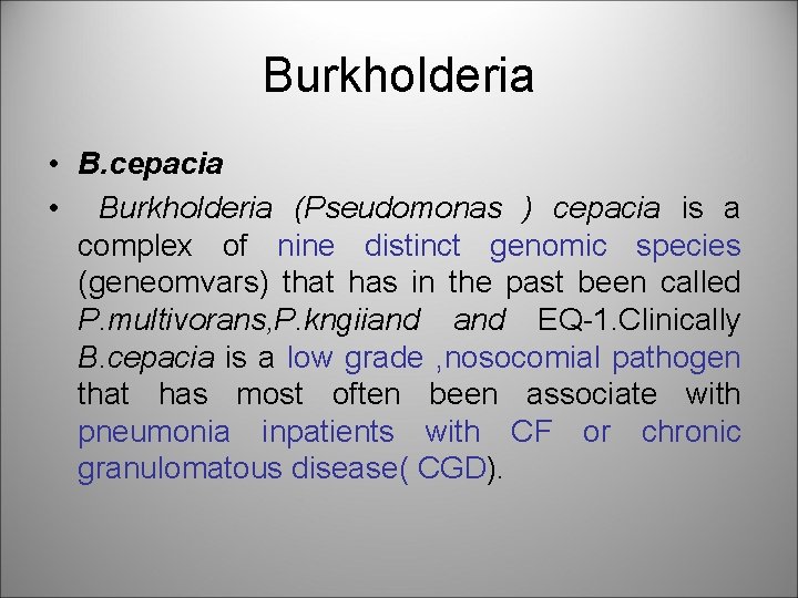 Burkholderia • B. cepacia • Burkholderia (Pseudomonas ) cepacia is a complex of nine