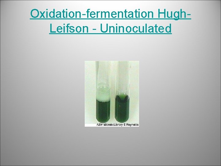 Oxidation-fermentation Hugh. Leifson - Uninoculated 