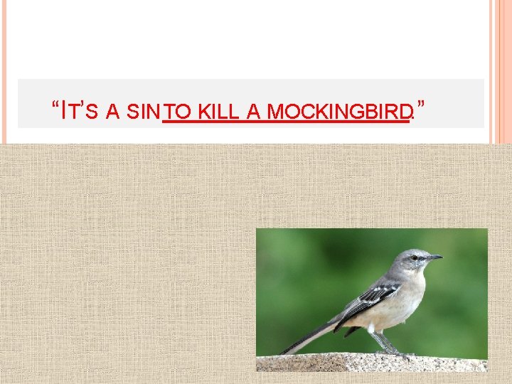  “IT’S A SIN TO KILL A MOCKINGBIRD. ” 