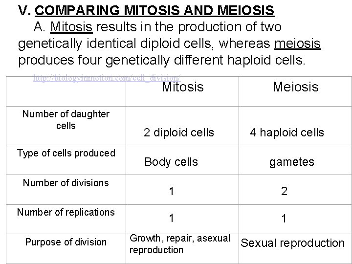 V. COMPARING MITOSIS AND MEIOSIS A. Mitosis results in the production of two genetically