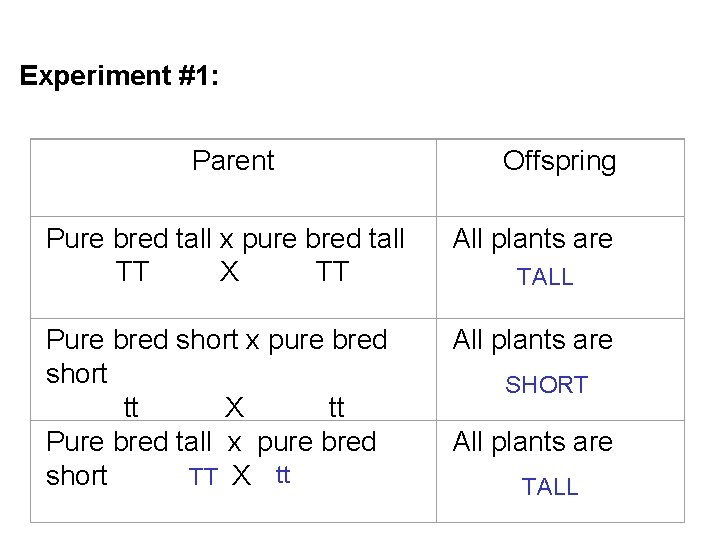 Experiment #1: Parent Offspring Pure bred tall x pure bred tall TT X TT