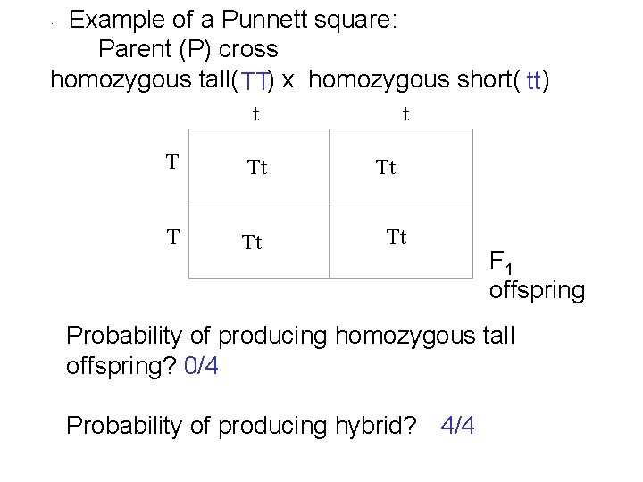 Example of a Punnett square: Parent (P) cross homozygous tall( ) x homozygous short(