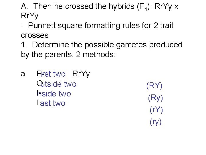 A. Then he crossed the hybrids (F 1): Rr. Yy x Rr. Yy ·