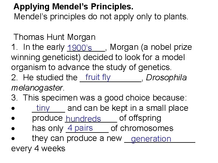  Applying Mendel’s Principles. Mendel’s principles do not apply only to plants. Thomas Hunt