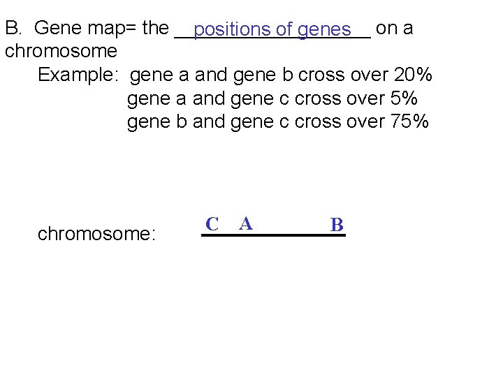 B. Gene map= the _________ on a positions of genes chromosome Example: gene a