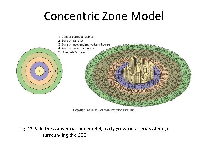 Concentric Zone Model Fig. 13 -5: In the concentric zone model, a city grows