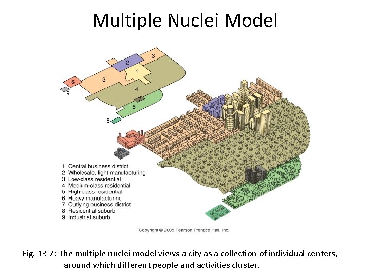 Multiple Nuclei Model Fig. 13 -7: The multiple nuclei model views a city as