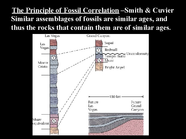 The Principle of Fossil Correlation –Smith & Cuvier Similar assemblages of fossils are similar